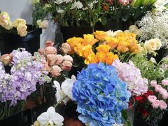 -何兮花店·气球派对鲜花店(马桥银春路万科城店)