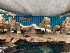 -杭州长乔极地海洋公园