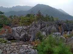 -千岛湖石林