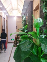 -芳朵美容养生SPA