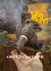 -Zoolung Zoolung动物主题公园(海信广场店)