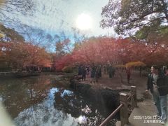 -秋霞圃