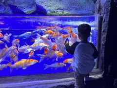 -左海海底世界