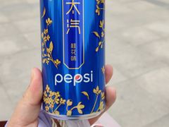 -鹏欣水游城