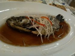 清蒸游水深海斑-新锦江大酒店·宴会厅·婚宴