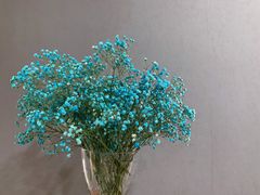 -金陵花卉交易市场