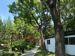 -上海醉白池公园