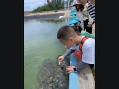 -硇洲岛旅游区