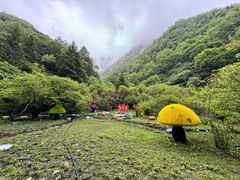 -叠溪松坪沟景区
