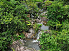-东莞市大岭山森林公园