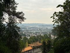 -铁山坪森林公园