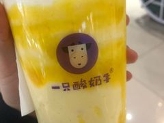 -一只酸奶牛(兰州中心店)