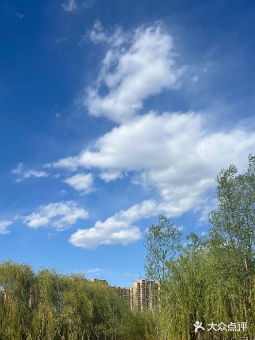 坝河休闲公园图片