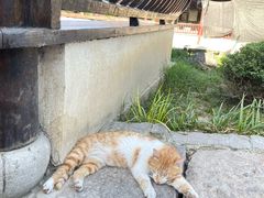 -锦溪古镇