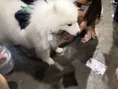 -香港会议展览中心演讲厅