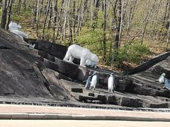 -哈尔滨北方森林动物园