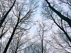 -叠溪松坪沟景区