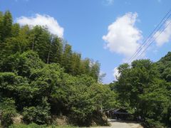 -水墨汀溪风景区