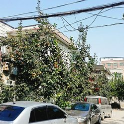 人口文化大院_村委会文化大院效果图