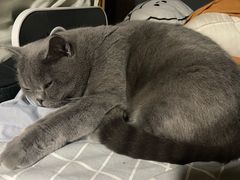 -FAELING PETS美天灵宠物(富力广场店)