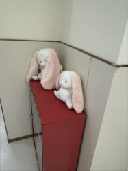 -小珂丽格医疗美容