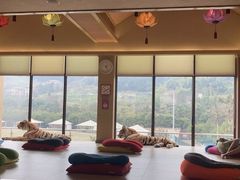 -重庆南山海昌汤都