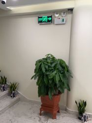 -海涛医疗美容·面部抗衰·注射美鼻