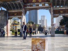 -顺城金记卤鸡·清真