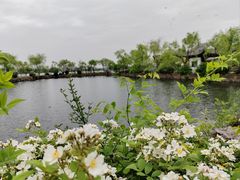 -无锡蠡湖国家湿地公园-蠡园