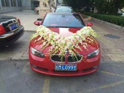 -蚂蚁婚车