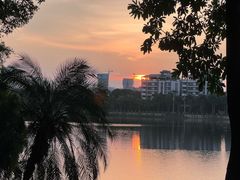 -南宁南湖公园