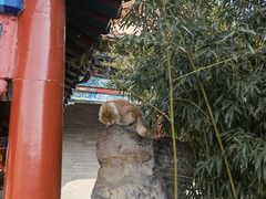 -有喜胶东小馆(太申祥和店)