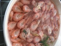 盐水白虾-古尚锦酒楼·水上餐厅