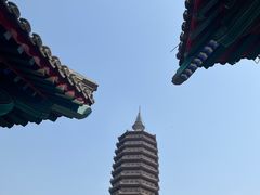 -西海子公园