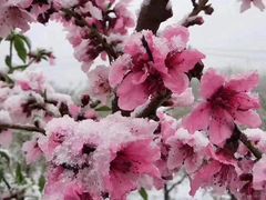 -青州市云门山风景区