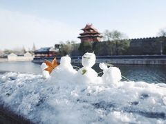 -故宫博物院(故宫)