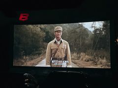 -枫花园汽车电影院(朝阳公园店)