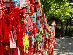 -香山公园