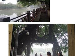 -小洲村
