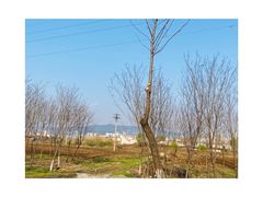 -九女仙湖景区