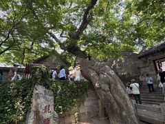 -青岛崂山太清宫