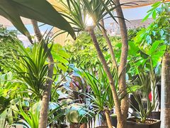 -双季花艺园艺市场(浦东店)