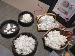 -太湖雪蚕桑文化园