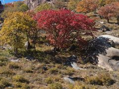 -克什克腾世界地质公园青山景区