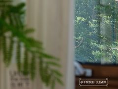 -江南天池