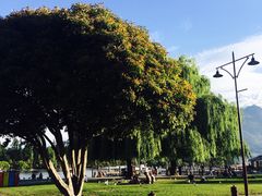 -Patagonia Chocolates(皇后镇店)