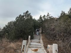 -北京凤凰岭