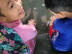 -兴芮温泉度假区