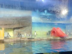 -海合安武汉极地海洋公园