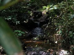 -水濂山森林公园